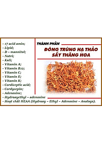 Đông trùng hạ thảo mật ong rừng Phúc Khang 300g - Hũ thủy tinh cao cấp - Công nghệ sấy thăng hoa - Chống lão hóa ,phòng ngừa ung thư ,tim mạch ,bồi bổ cơ thể ...làm quà biếu , quà tặng , bảo vệ sức khỏe
