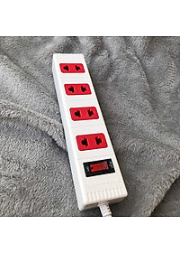 Ổ cắm Điện Quang ECO ĐQ ESK 2WR 42 ECO (4 lỗ 2 chấu, dây dài 2m, màu trắng đỏ)