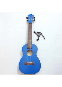product-img-12