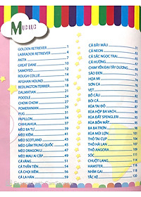 product-img-11