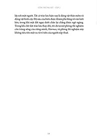 product-img-13