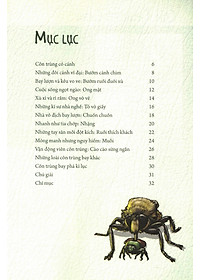 Sách Những Loài Bọ Phá Kỷ Lục - Côn Trùng Có Cánh