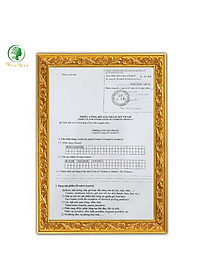 Bộ chăm sóc mẹ đẹp như tiên, giúp da mặt sáng khỏe và trắng hồng mịn màng Wonmom (1 sữa rửa mặt hữu cơ+ 1 kem nghệ tươi)