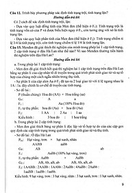 product-img-10