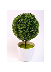 product-img-7