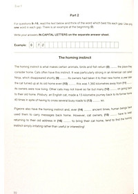 product-img-10
