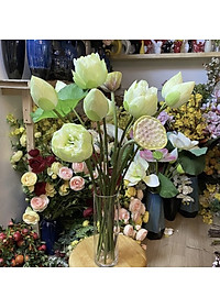 product-img-8