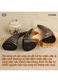 Chóp sừng trâu vật phẩm phong thủy (OTH003) HOT nhất của năm trâu vàng 2021 - giàu sang - phú quý 