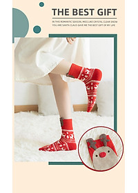 product-img-14