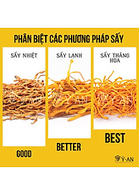 Đông trùng hạ thảo mật ong rừng Phúc Khang 300g - Hũ thủy tinh cao cấp - Công nghệ sấy thăng hoa - Chống lão hóa ,phòng ngừa ung thư ,tim mạch ,bồi bổ cơ thể ...làm quà biếu , quà tặng , bảo vệ sức khỏe