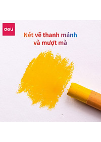 Bút Sáp Dầu Chuyên Nghiệp Deli - Hộp Giấy - 24/36 Màu - 72087 / 72088
