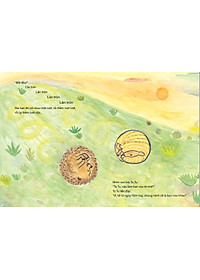 Ehon Nhật Bản - Chuyện Của Nhím Con