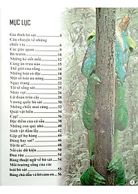 Sách Bách Khoa Tri Thức Về Khám Phá Thế Giới Cho Trẻ Em - Reptiles - Bò Sát