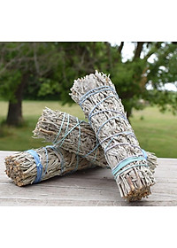 Bó lá xô thơm xanh xông nhà mang may mắn và tài lộc - Blue sage