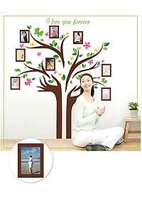 Decal dán tường treo ảnh 14 Amyshop (172 x145 cm)