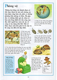 Sách Bách Khoa Động Vật Cho Trẻ Em