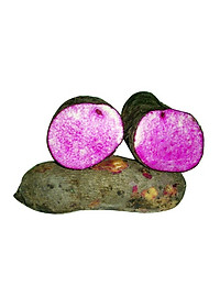 product-img-0