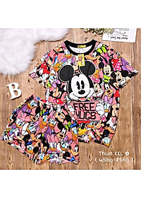 product-img-5