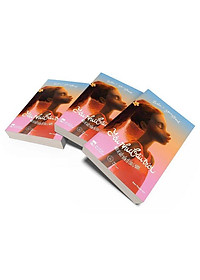 product-img-2