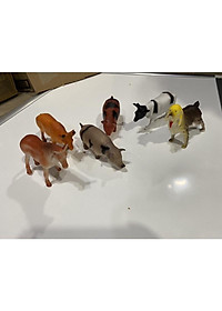 product-img-1