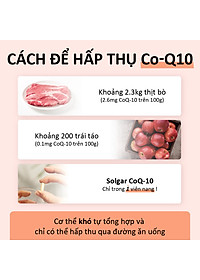 NHẬP KHẨU USA CHÍNH HÃNG - Viên uống điều hòa huyết áp, giảm nguy cơ tai biến, giảm cholesterol trong máu Solgar Vegetarian CoQ-10 60 mg