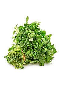 Hạt Giống Xà Lách Xoong Mỹ RADO 704 - 1gr - Dạng lá tròn, thân hơi tím, có rễ phụ, vị thơm, cây cao trung bình 28-35 cm