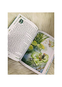 product-img-6