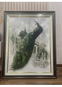 product-img-0