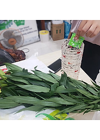 Chăm sóc hoa lâu tàn bằng bột dưỡng cho hoa cắt cành nhập khẩu Israel (Set 50 gói) giữ hoa lâu tàn gấp 2 lần bình thường và 14 ngày không thay nước mới