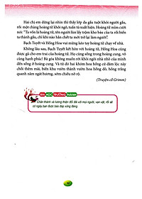 product-img-10
