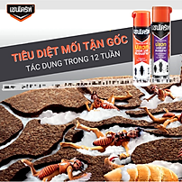 Bình Xịt Diệt Mối Thái Lan