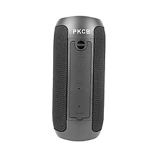 Loa Bluetooth speaker không dây PKCB250 - Hàng Chính Hãng
