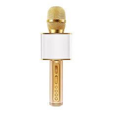 Micro karaoke không dây bluetooth kiêm loa nghe nhạc  3 trong 1 PF72 Gold - Hàng Chính Hãng