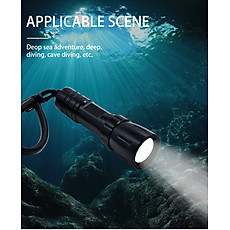 Đèn pin cho thợ lặn TERINO T51 (dùng dưới nước, 30w) - Hàng chính hãng