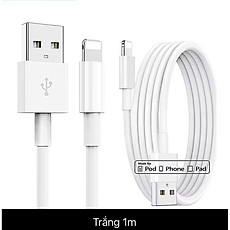 Dây cáp sạc nhanh 1 mét, đầu usb cho phone 13, 12, 11, Xs/max, X, 7 Plus - cáp usb to light