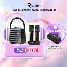 Loa bluetooth Divoom SongBird-SE kèm 2 Microphone. công suất 18W - Hàng chính hãng