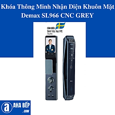Khóa Thông Minh Nhận Diện Khuôn Mặt Demax SL966 CNC GREY. Hàng Chính Hãng