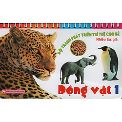 Bộ Tranh Phát Triển Trí Tuệ Cho Bé – Động Vật 1