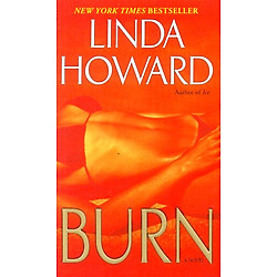 Burn: A Novel