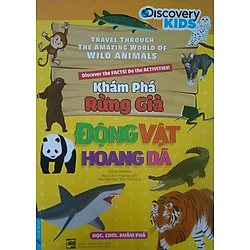 Khám Phá Rừng Già – Động Vật Hoang Dã
