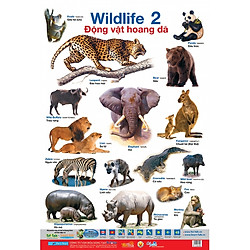 Poster Lớn – Động Vật Hoang Dã 2