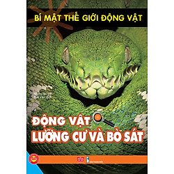 Bí Mật Thế Giới Động Vật – Động Vật Lưỡng Cư Và Bò Sát