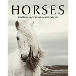 Spirit Of The Horse – Hardcover