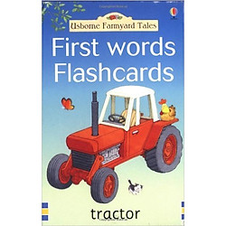 Usborne FYT First words Flashcards