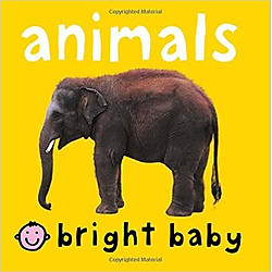 Bright Baby Animals