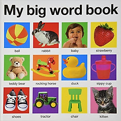 My Big Word Book