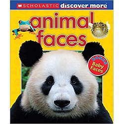 Scholastic Discover More™: Animal Faces