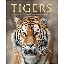Spirit Of The Tiger – Hardcover