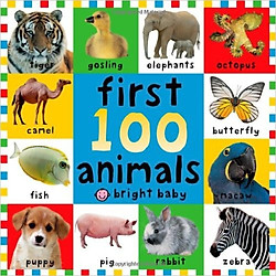 Big Board Books First 100 Animals