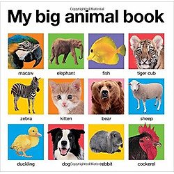 My Big Animal Book